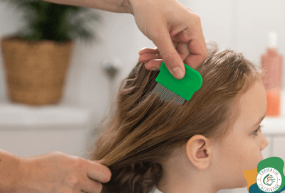 Mano di un adulto che utilizza un pettine fine sui capelli di una bambina per il controllo dei pidocchi, in vista del ritorno a scuola.
